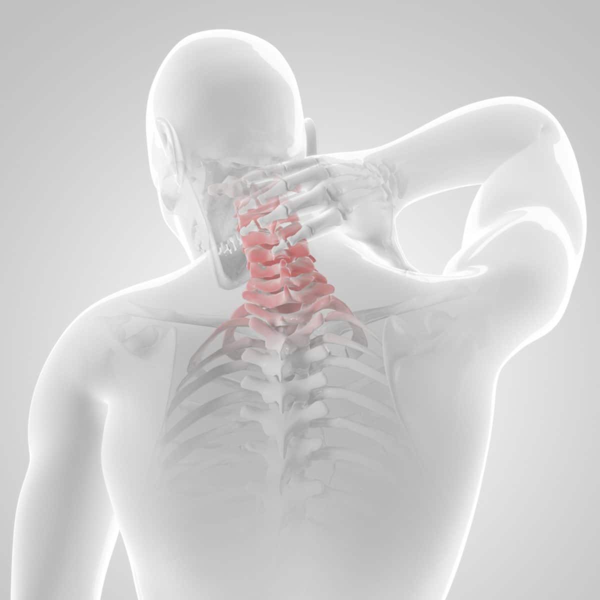 Cervical Disc (လည်ပင်းအဆစ်ကြားအချပ်ပြား)