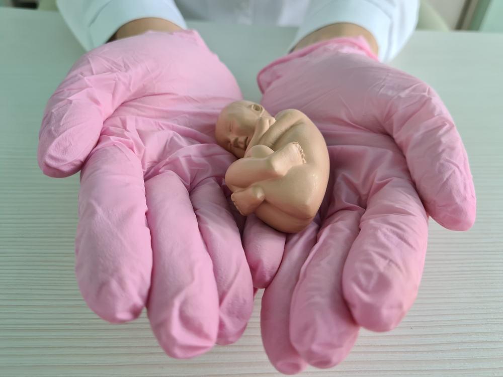 Termination Of Pregnancy (ကိုယ်ဝန်ဖျက်ချခြင်း)