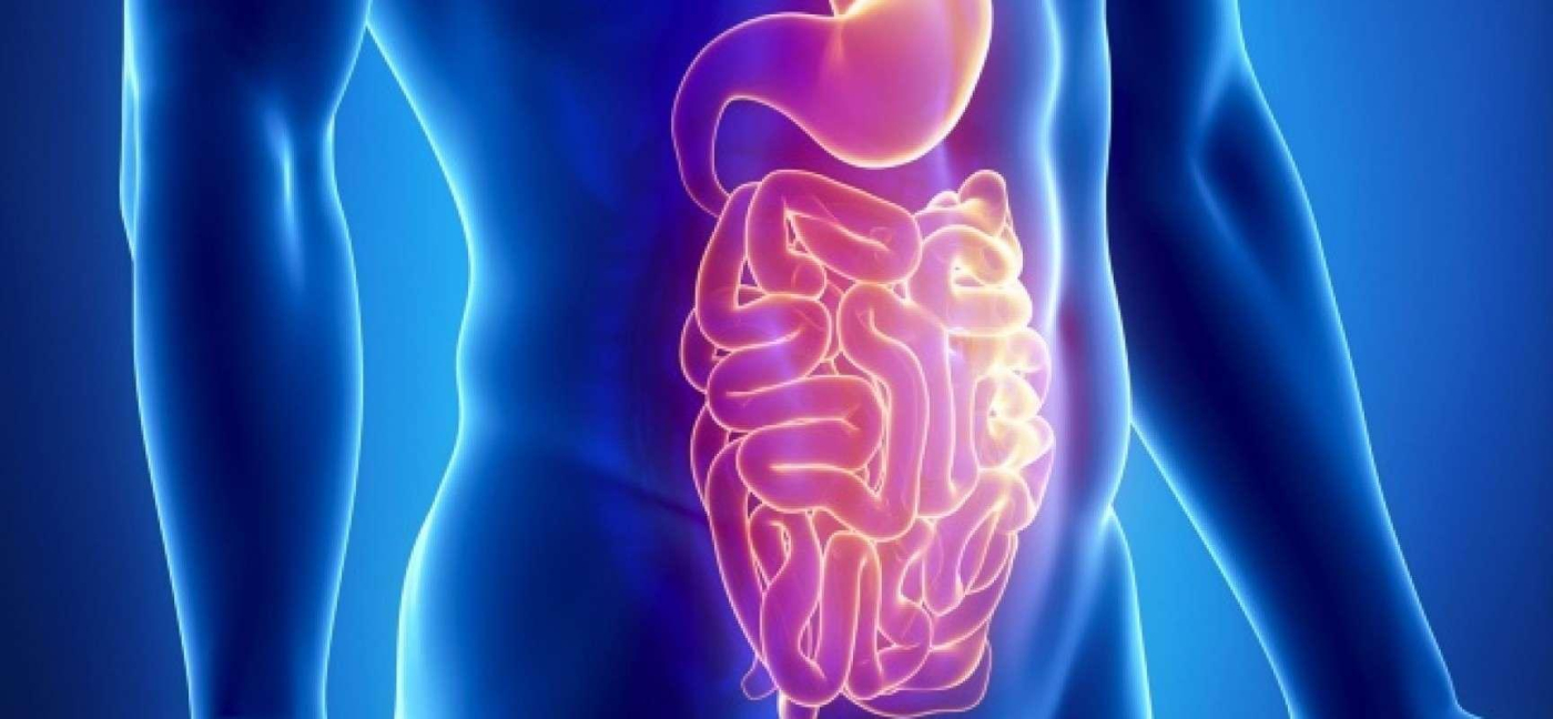 Gastroenteritis (အစာအိမ်အူလမ်းကြောင်း ရောင်ရမ်းခြင်း)