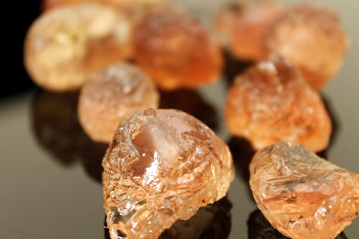 ဆေးကုလားမ (Tragacanth Gum Herb)
