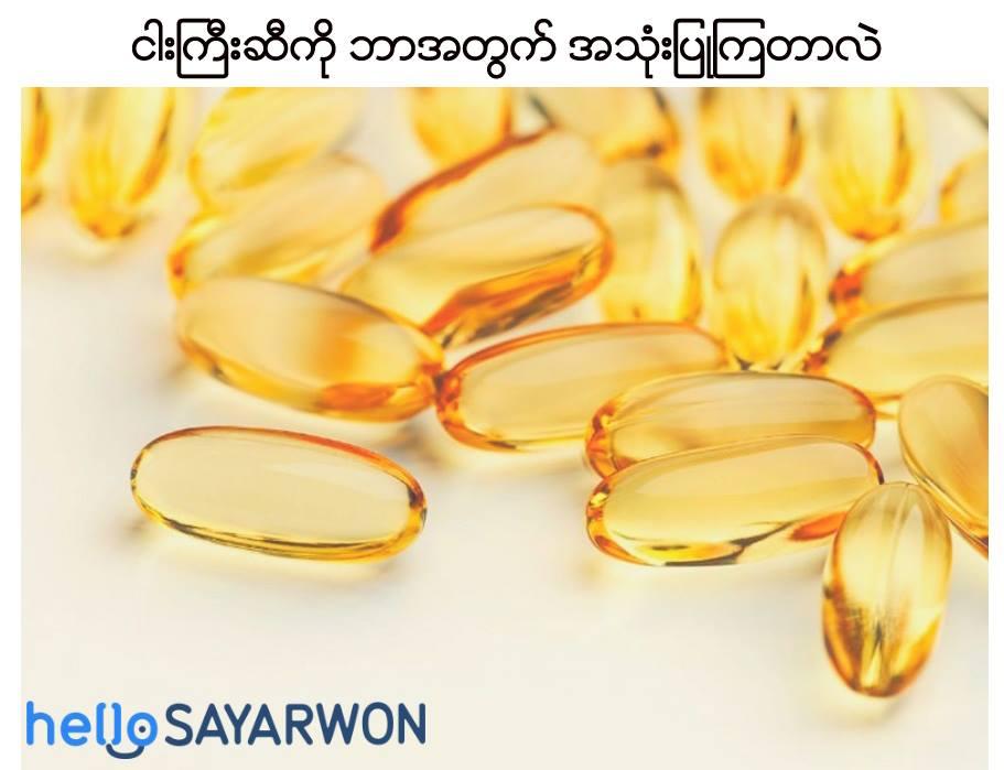Fish oils (ငါးကြီးဆီ)