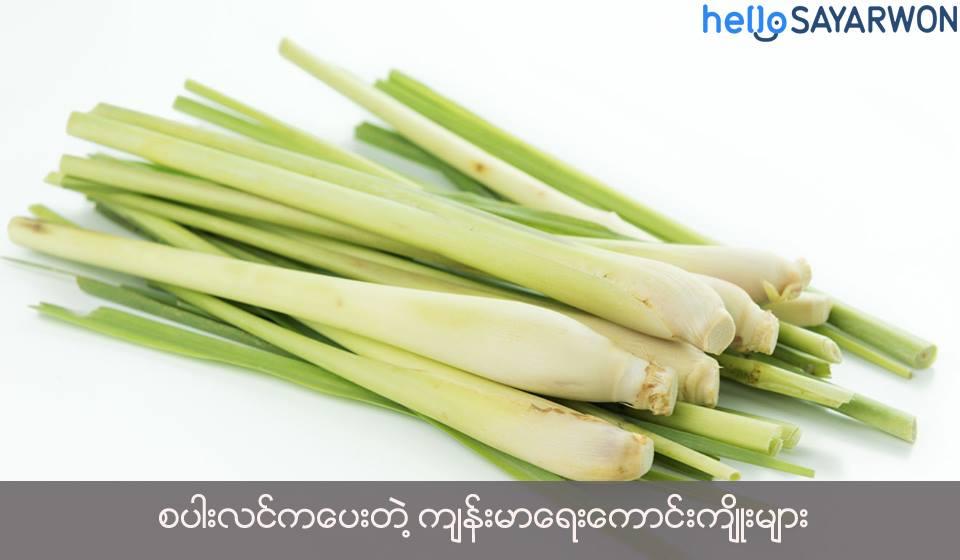 စပါးလင် (Lemongrass)