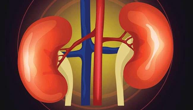 Polycystic Kidney (ááťáąáŹááşáááşááąáĄáááşáááşááźááşá¸)
