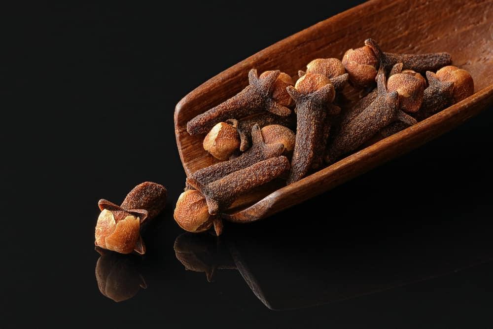လေးညှင်း (Cloves)