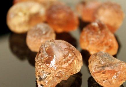ဆေးကုလားမ (Tragacanth Gum Herb)