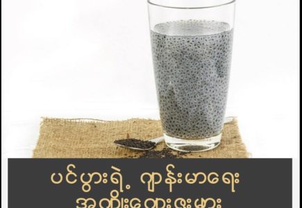 Basil Seed (áááşáá˝áŹá¸)