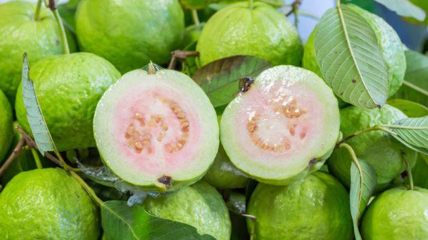 Guava (မာလကာသီး)