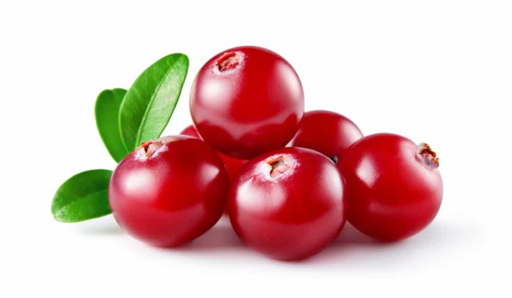 Cranberry (ခရမ်ဘယ်ရီသီး)