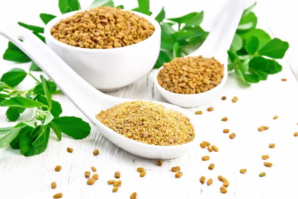 ပဲနံ့သာစေ့ (Fenugreek Seed)