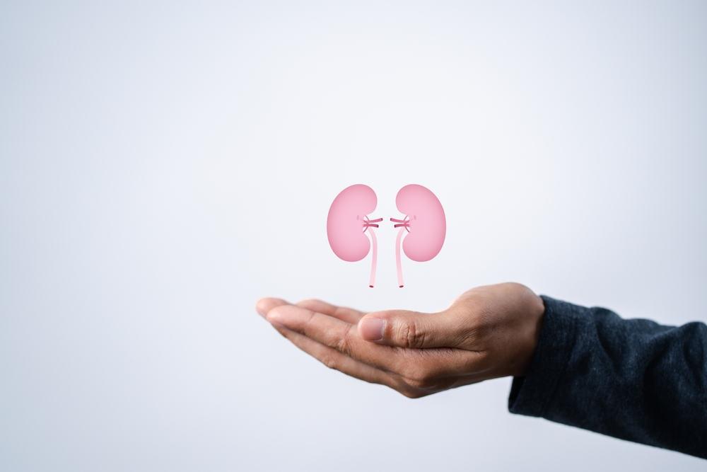Kidney Injury ( ကျောက်ကပ်ပျက်စီးခြင်း )