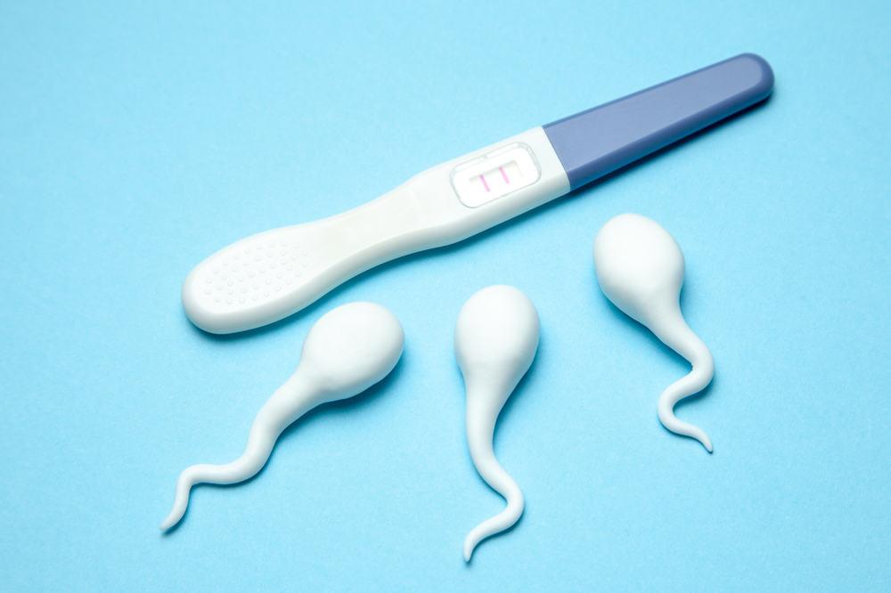Low Sperm Count (သုက်ပိုးနည်းခြင်း)