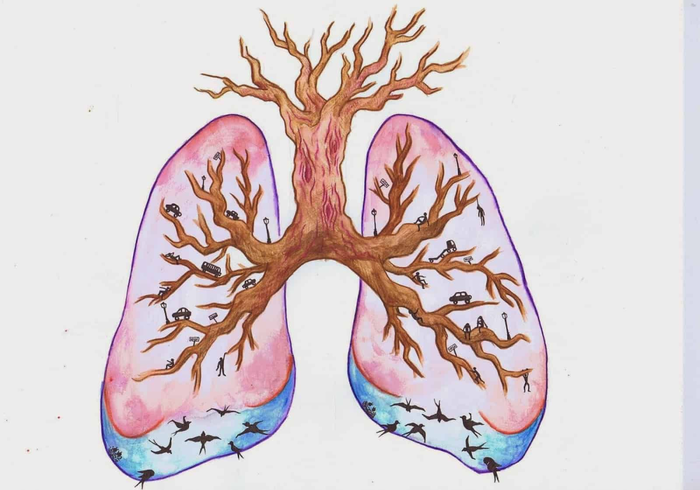 နာတာရှည် လေပြွန်ကျဉ်းရောဂါ (COPD) ရဲ့ ဇီဝကမ္မဖြစ်စဉ်များ
