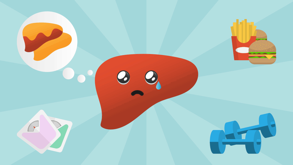 Fatty Liver (အသည်းအဆီဖုံးခြင်း)