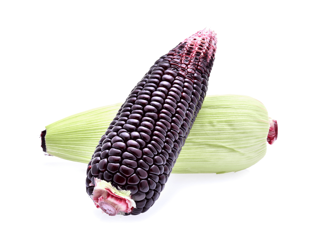 ááŽá¸ááťááŻáááŹá¸áá˝áąáĄáá˝ááş áááˇáşááąáŹáşáá˛áˇ ááááşá¸ááąáŹááşááźáąáŹááşá¸