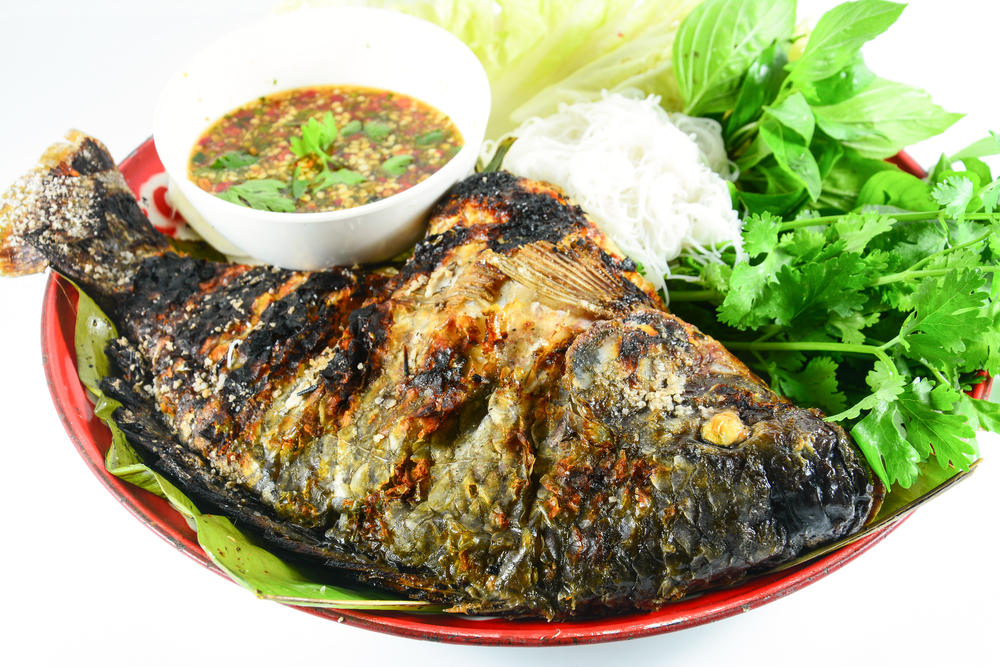 တီလားပီးယားငါးကင် သိပ်ကြိုက်တယ်ဆို သိထားသင့်တဲ့အကောင်းအဆိုးလေးတွေ