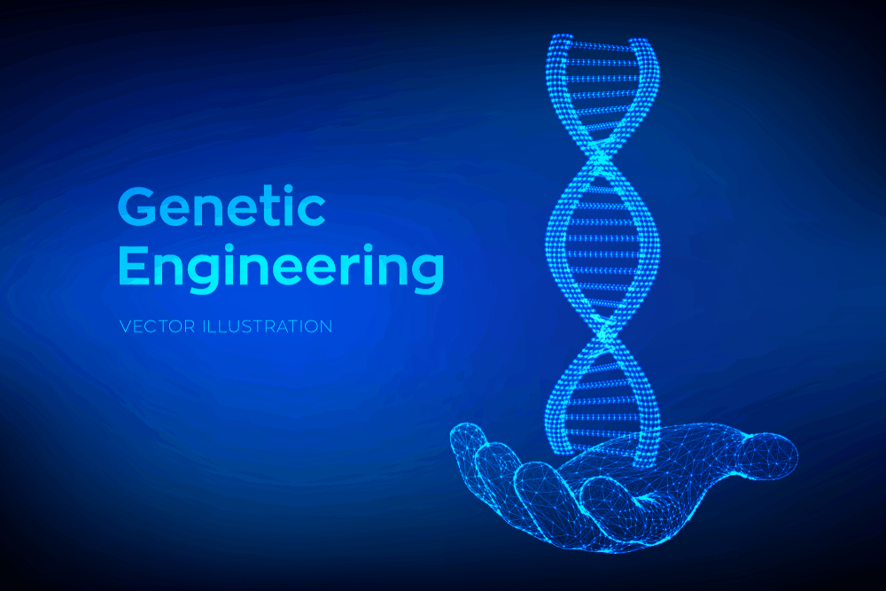 မှုခင်းဆေးပညာဆိုင်ရာ DNA စစ်ဆေးခြင်း
