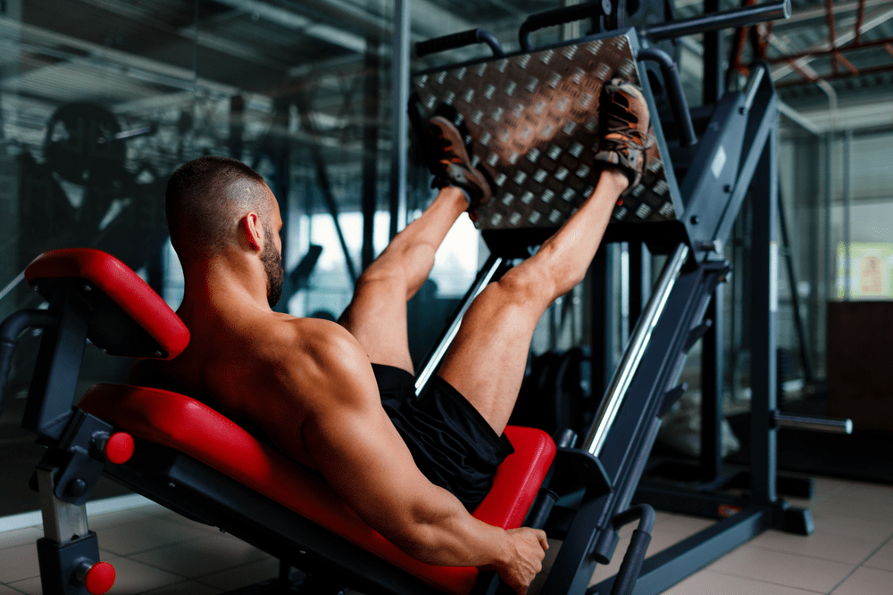 Gym ကစားရင် အောက်ပိုင်းထိုင်ဖို့ မပျင်းပါနဲ့