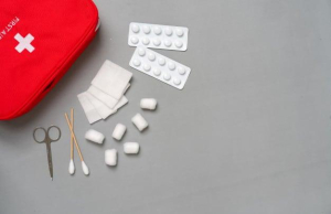 ခရီးသွား ရင် ဘာဆေးတွေဆောင်သွားကြမလဲ။