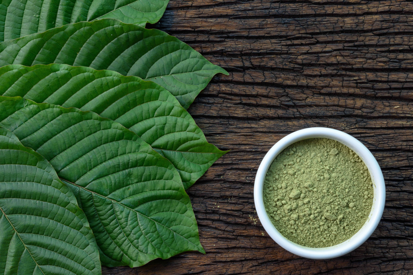 Kratom (ဘိန်းစာပင်) ဟာ မူးယစ်ဆေးလား? ဆေးဝါးဓာတ်စာလား?