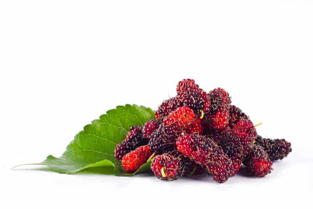 Mulberries ကပေးတဲ့ ကျန်းမာရေး