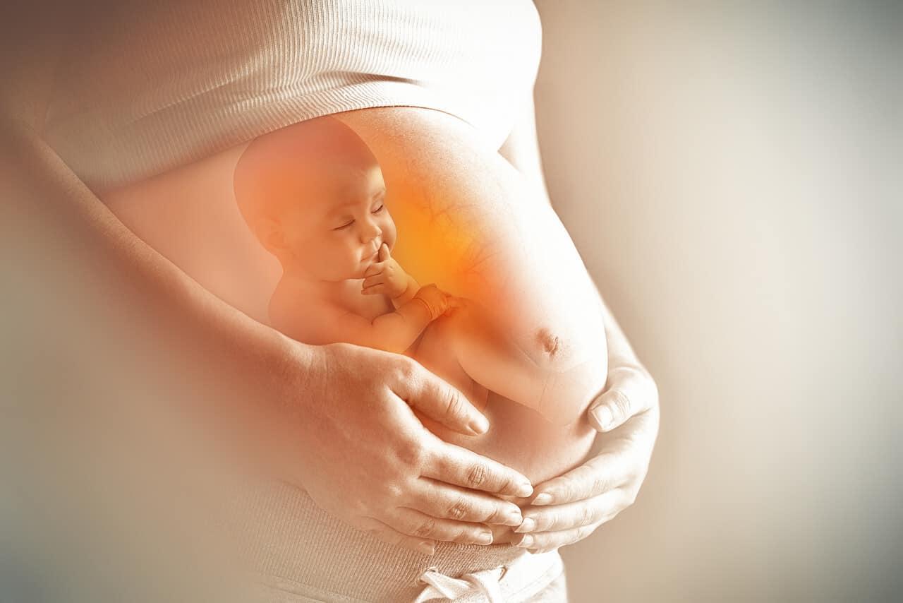 ကိုယ်ဝန်ဆောင်စောင့်ရှောက်မှု ဆိုတာ