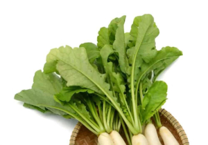 မုန်လာရွက်မှာပါတဲ့ အာဟာရဓာတ်တွေက ဘာတွေလဲ ......