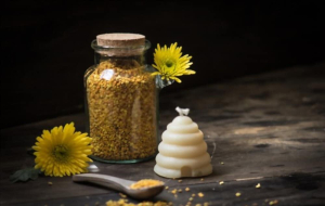 ပျားဝတ်မှုန် ကျန်းမာရေးအတွက် ကောင်းသလား ……..