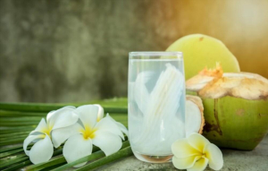 ကိုယ်ဝန်ဆောင်မေမေ အုန်းစိမ်းရည် သောက်လို့ ရလား ....