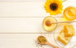 ááąááźáŹááťáŹá¸áááş ááťááşá¸ááŹááąá¸áĄáá˝ááş ááąáŹááşá¸á
áąáááŹá¸