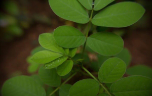 áááŻá¸ááťáááşáááşááŻááşááąá¸ áááąá¸áá˛áˇ ááťááşá¸ááŹááąá¸