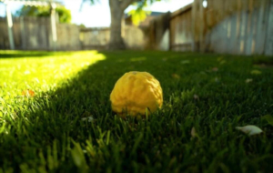 áážáąáŹááşááŽá¸ááŻááş ááťááşáááşá
ááşááąá¸ ááźááŻááşááźááŹá¸á