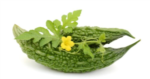 ကြက်ဟင်းခါးညွန့် စားပေးသင့်တဲ့ အကြောင်းအရင်း