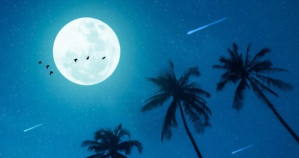 ááááşáĄáááşáá˛áˇáĄá፠áĄáážáąáŹááşááť áĄáááşáᏠááąáŹááşá¸áááŹá¸