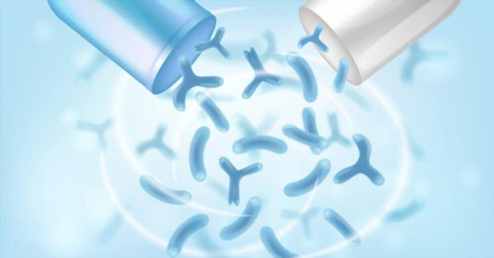 Probiotics က ကိုယ်ခံအားကို ကောင်းစေသလား