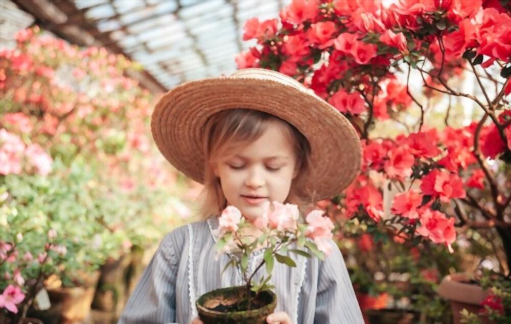 မတ်တတ်ပြေး နဲ့ မူကြိုအရွယ် ကလေး တစ်ယောက် ဖွံ့ဖြိုးမှု