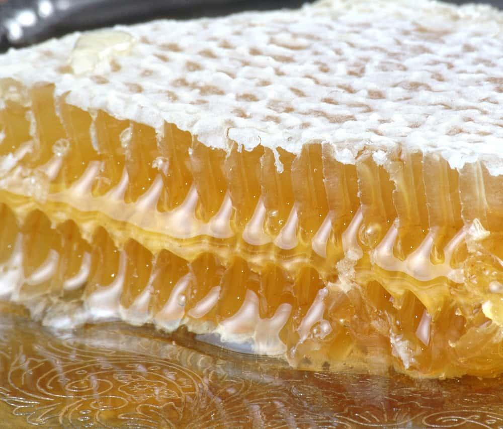Royal Jelly (ရွိုင်ရယ် ဂျယ်လီ) ဆေးဖက်ဝင်သလား